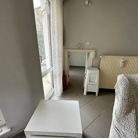Vila Sile'de Genis Meyve Bahceli Luks Ağva